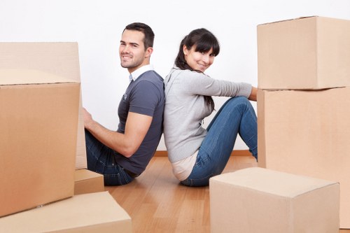 Storage boxes and household items arranged for Belmont storage