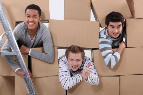 Packed household items prepared for storage during a Belmont move